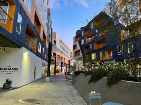 Spacious Entire Apt w Parking in Arts District DTLA B5